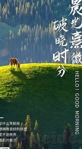 mk体育电脑版-MK体育电脑版，解锁数字时代的运动新体验